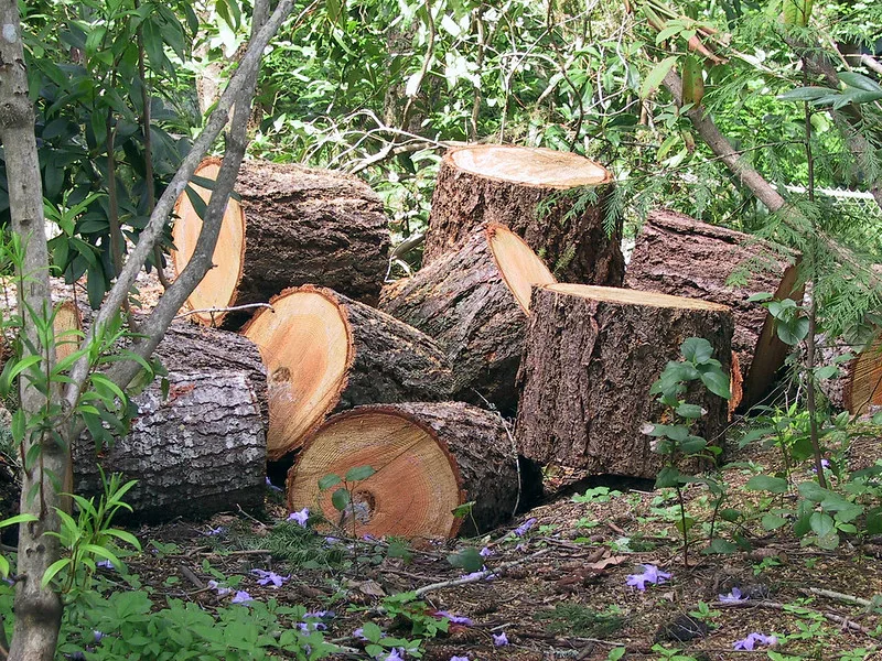 Yard Debris Removal Wichita KS